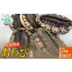 魚貝類 アワビ 広田湾産 養殖あわび 5個セット