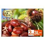 fu.... налог фрукты вид каштан Ibaraki префектура Kasama город сырой каштан каштан 2kg 3L и больше очень большой ограниченное количество местного производства мир каштан ..kli конфеты фрукты фрукты каштан .... Montblanc каштан рис каштан ....