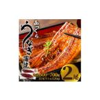 魚貝類 鱧 ふっくら大判うなぎ蒲焼 計約640g 約320g×2尾