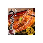 魚貝類 鱧 ふっくら大判うなぎ蒲焼 計約960g 約320g×3尾