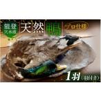 鴨肉 能登 穴水産 天然 鴨 羽付き 1羽 奥能登