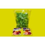 野菜類 Aセット エディブルフラワー 生花20輪 2パック