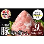 isa784 九州産 豚肉切り落とし 合計9.0kg
