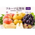 定期便 紀州和歌山産旬のフルーツ定期便