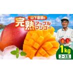 ショッピングふるさと納税 マンゴー ふるさと納税 マンゴー 鹿児島県 和泊町  2026年先行予約 甘い香りの贈り物 山下農園の完熟アップルマンゴー 1kg（2〜3玉）　W063-003-01