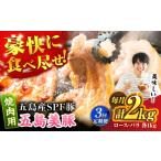 豚肉 ロース 3回定期便 五島美豚焼肉2kg