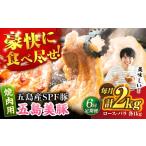 豚肉 ロース 6回定期便 五島美豚焼肉2kg