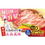 五島美豚 薄切り2kg ロース1kg バラ1kg