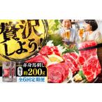 馬肉 全6回定期便 赤身 馬刺し 約200g