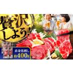 馬肉 令和8年度熊本地震復興支援 赤身 馬刺し 約400g