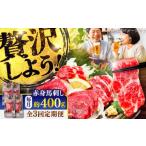 馬肉 全3回定期便 赤身 馬刺し 約400g