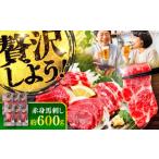 馬肉 赤身 馬刺し 約600g