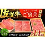 牛肉 ヒレ 全6回定期便 佐賀牛 赤身 お一人様ご褒美定期便 …