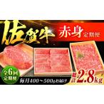 牛肉 ヒレ 全6回定期便 佐賀牛 赤身定期便