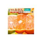 柑橘定期便SS 10~12月 全3回