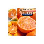 みかん 柑橘類 柑橘定期便S 10~12月