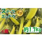 野菜類 スナップエンドウ 約 1.7kg