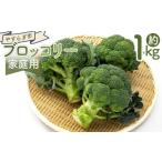 人参 大根 他根菜 ブロッコリー 1kg