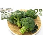 人参 大根 他根菜 ブロッコリー 2kg