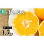 ふるさと納税 みかん・柑橘類 愛媛県 愛南町 訳あり ポンカン ぽんかん 1.5kg 傷 不揃い 柑橘 みかん ミカン ぽんかん フルーツ 果物 おやつ 規格外 常温 愛媛…