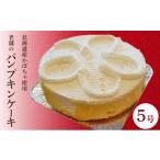 ケーキ カステラ パンプキンケーキ 5号 1台