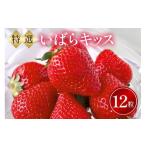 ふるさと納税 いちご 茨城県 石岡市 特選12玉　いばらキッス いちご イチゴ フルーツ 果物 茨城県 石岡市 A32-018