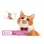 イベントやチケット等 ぽぽねこ 券 封筒タイプ