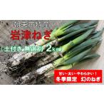 ふるさと納税 野菜類 ねぎ 兵庫県 朝来市 朝来市特産 岩津ねぎ 土付き 太さ無選別 2kg（箱入り） AGRI CREW 株式会社 岩津ねぎ 岩津ネギ 日本農業遺産 新鮮 国…