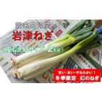 fu.... налог овощи вид лук порей Hyogo префектура утро . город предшествующий предварительный заказ утро . город Special производство скала Цу лук порей пилинг L размер 2kg( в коробке ) AGRI CREW акционерное общество скала Цу лук порей скала Цу лук-батун Япония сельское хозяйство . производство...