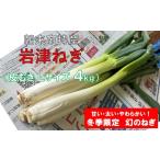 野菜類 ねぎ 特産 岩津ねぎ 皮むき Lサイズ 4kg