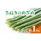 山菜 きのこ アスパラガス さぬきのめざめ 約1kg