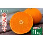 ふるさと納税 果物類 みかん 愛媛県 松山市 愛果28号 家庭用 お試し1kg(4〜5個) 先行予約 2025年11月下旬から発送 | 愛果 あいか 紅まどんな 紅マドンナ と 同…