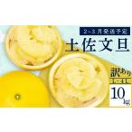 果物の詰合せ 土佐文旦 訳あり 10kg