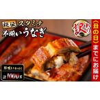 秘伝の特上スタミナうなぎ白焼き 肝吸いセット