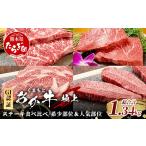牛肉 サーロイン GI認証 くまもとあか牛