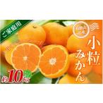 小粒みかん 約10kg
