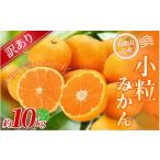 小粒みかん 約10kg
