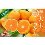 大玉みかん 約5kg