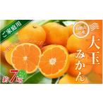 大玉みかん 約7kg