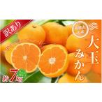 大玉みかん 約7kg