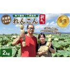 人参 大根 他根菜 訳あり れんこん 2kg
