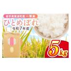 ふるさと納税 米 ひと