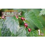 fu.... налог овощи вид дикоросы Yamagata префектура Tsuruoka город . мир 8 год производство предшествующий предварительный заказ дикоросы натуральный красный miz. реальный 1kg Grace ферма 