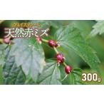 fu.... налог овощи вид дикоросы Yamagata префектура Tsuruoka город . мир 8 год производство предшествующий предварительный заказ дикоросы натуральный красный miz. реальный 300g Grace ферма 