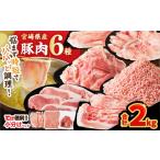 豚肉 ロース 令和8年 豚肉6種\てげスゲーセット 合計2kg