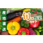 野菜類 山菜 季節の野菜セット 朝採れ 7品