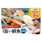 旬の鮮魚等 この男にお任せ ~浜田の厳選鮮魚お試し便 下処理なし 鮮魚 セット