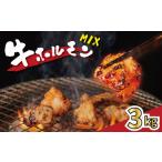 牛肉 ホルモン 小分け 約3kg