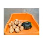 fu.... налог комплект *... Hokkaido . другой город Suage прямой . сельское хозяйство . новый ...3kg& тыква 1 шар 