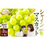 ふるさと納税 ぶどう マスカット 福岡県 うきは市  先行予約 　上村農園 （ハウス） シャインマスカット 4〜6房 （約2kg） 2026年7月下旬〜8月上旬より順次発…